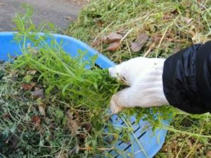一戸建て・一軒家での草抜き 草むしり 草取り 草引き作業