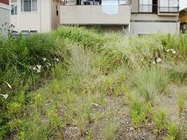 有料駐車場の除草作業・草刈り