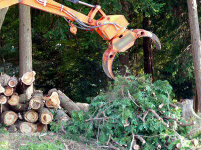 雑木林や竹林伐採後の砕石・真砂土 整地工事
